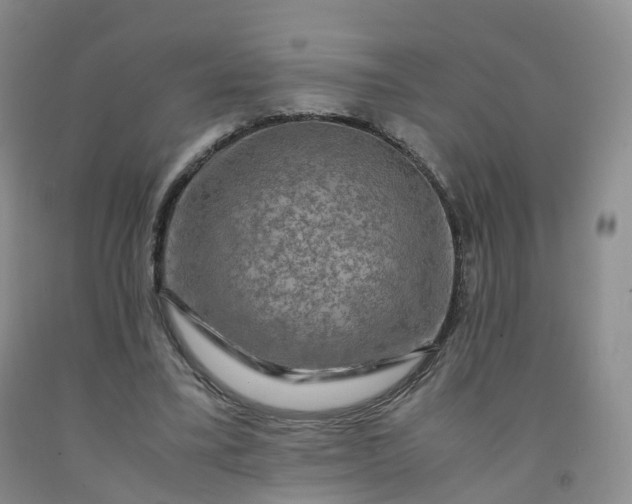 X0000092000395200709201513