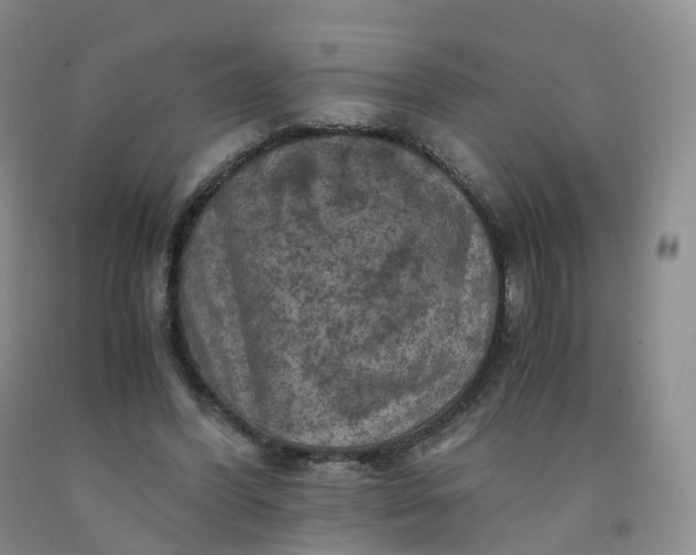 X0000092000396200709201513