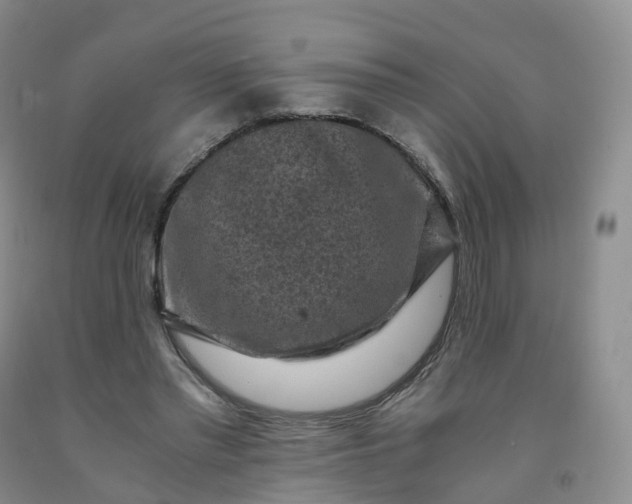 X0000092000397200709201513