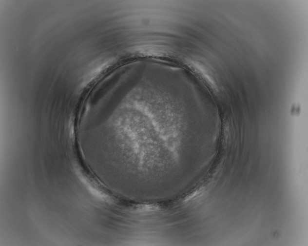 X0000092000398200709201513