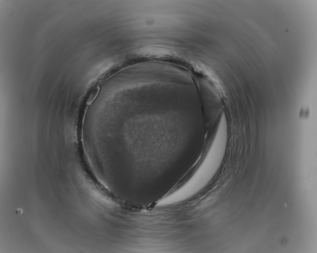 X0000092000399200709201513