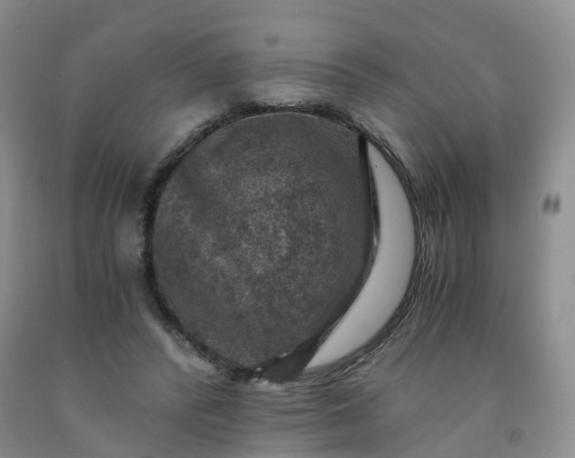 X0000092000400200709201513