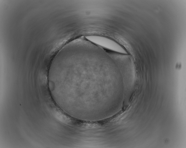 X0000092000401200709201513