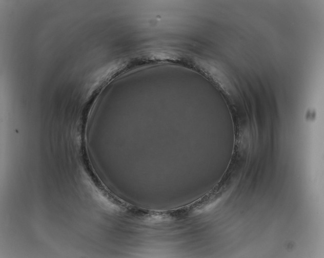 X0000092000402200709201513