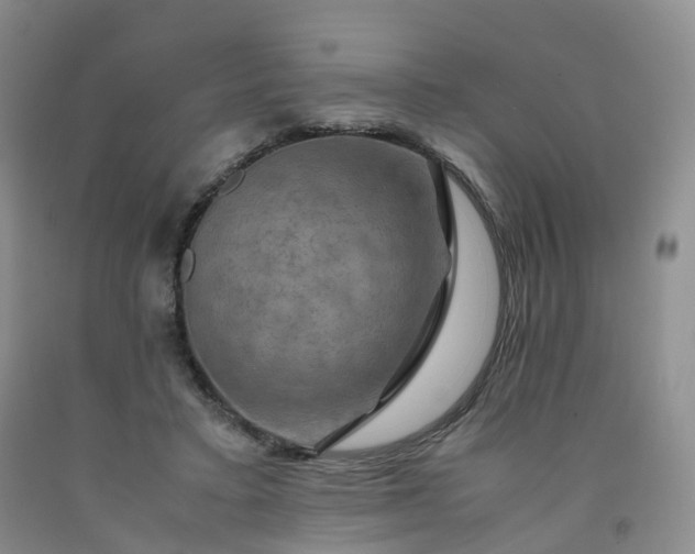 X0000092000403200709201513