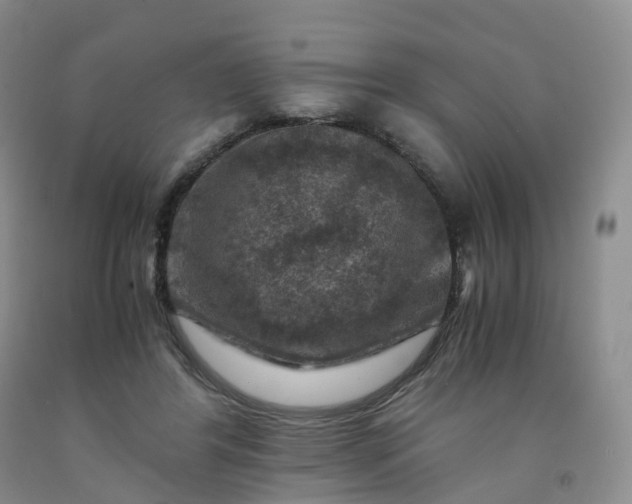 X0000092000404200709201513