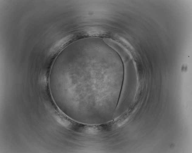 X0000092000405200709201513