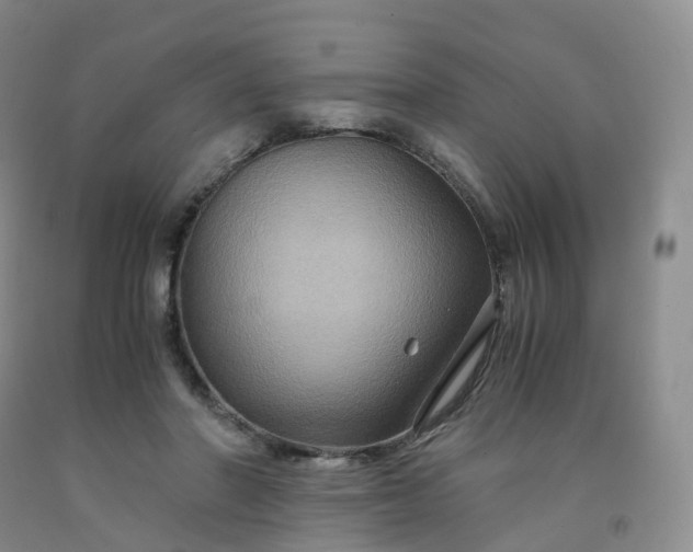 X0000092000406200709201513