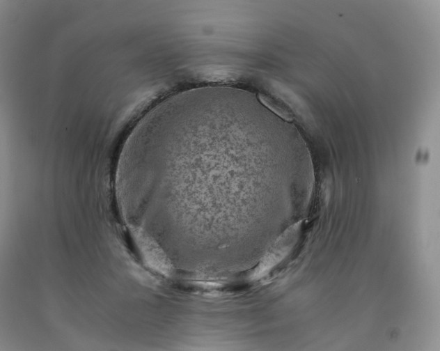 X0000092000407200709201513