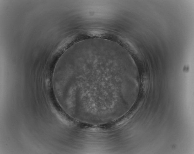 X0000092000408200709201513