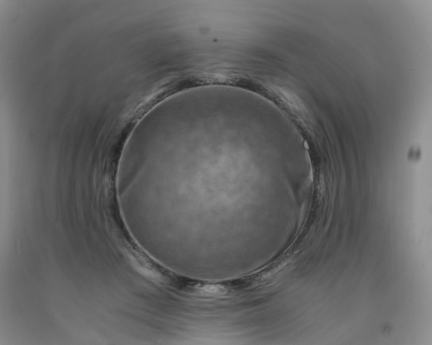 X0000092000409200709201513