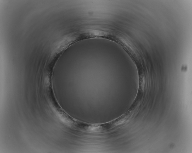 X0000092000410200709201513