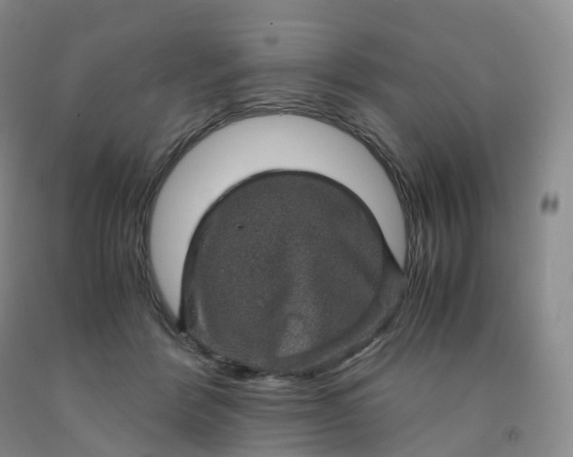 X0000092000412200709201513