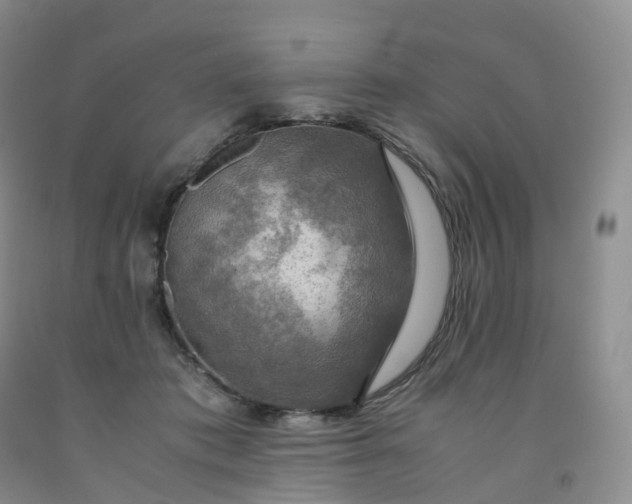 X0000092000413200709201513