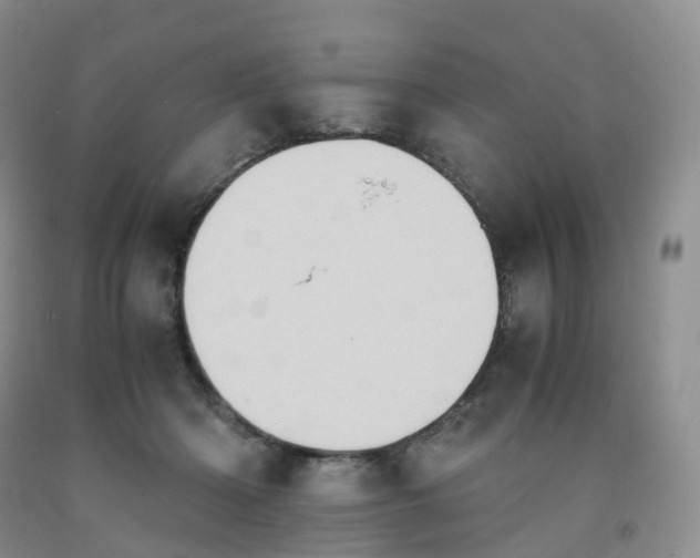 X0000092000414200709201513