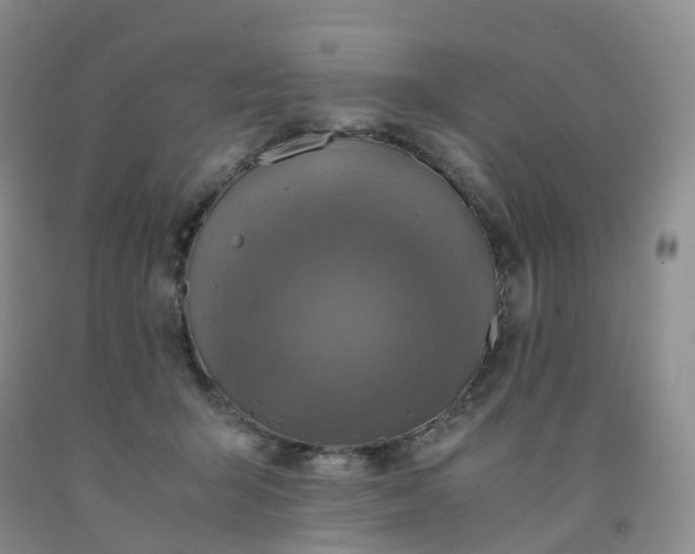 X0000092000415200709201513