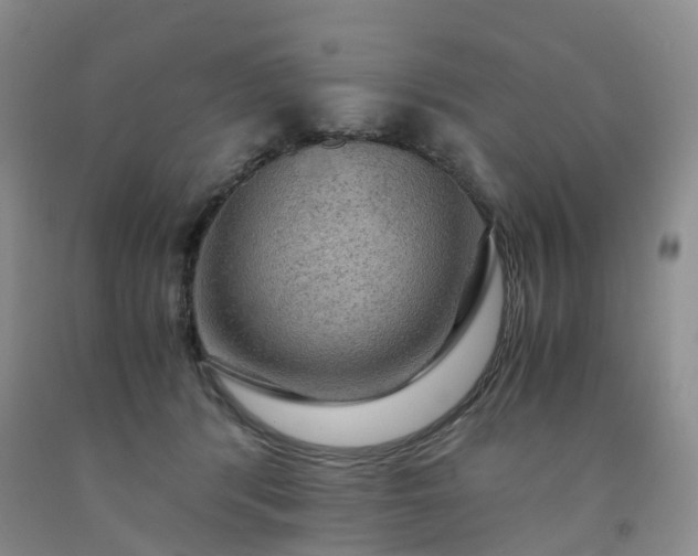 X0000092000416200709201513