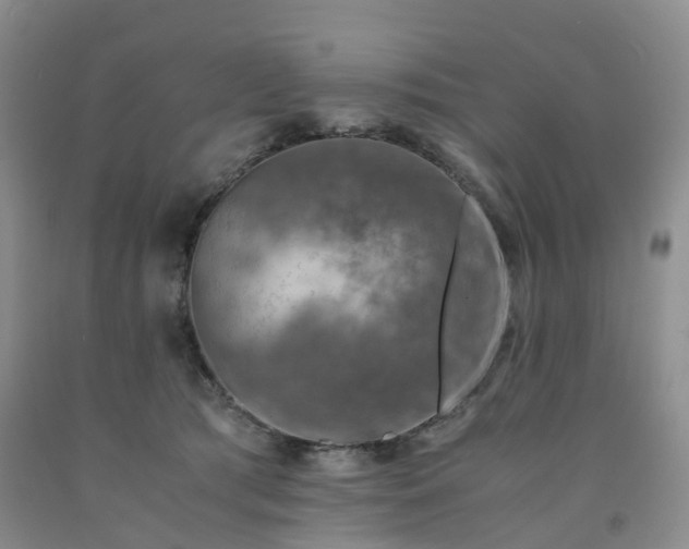 X0000092000417200709201513