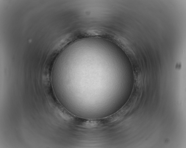 X0000092000418200709201513