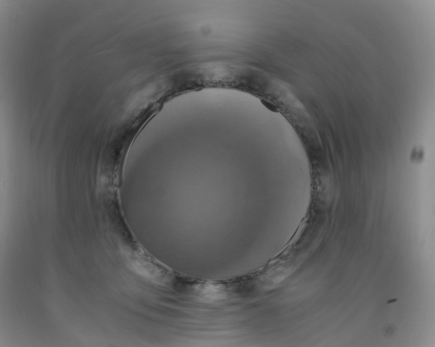 X0000092000419200709201513