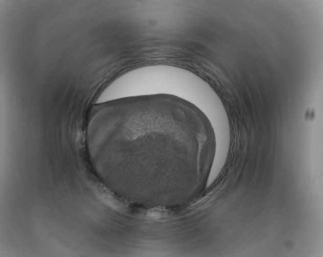 X0000092000420200709201513