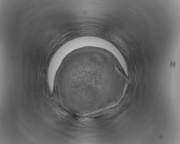 X0000092000421200709201513