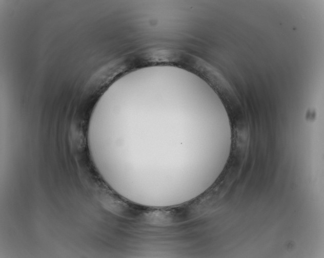 X0000092000422200709201513