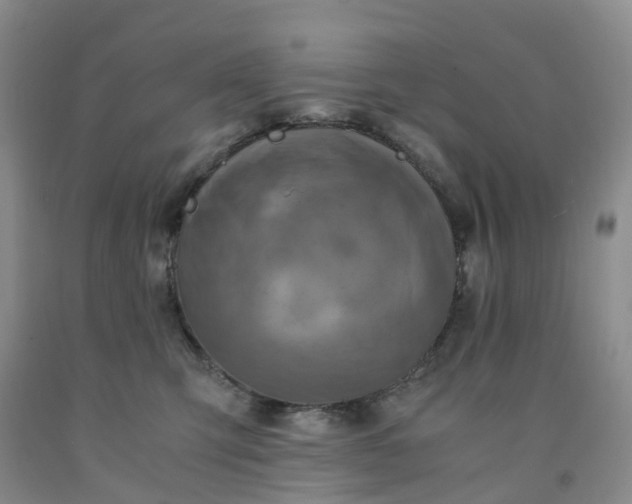 X0000092000423200709201513