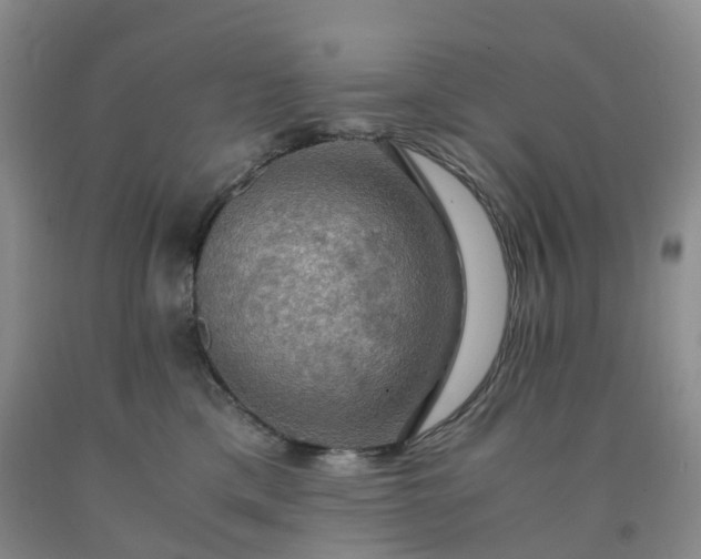 X0000092000425200709201513