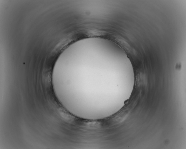 X0000092000426200709201513