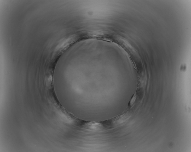 X0000092000427200709201513