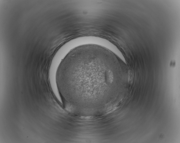 X0000092000428200709201513