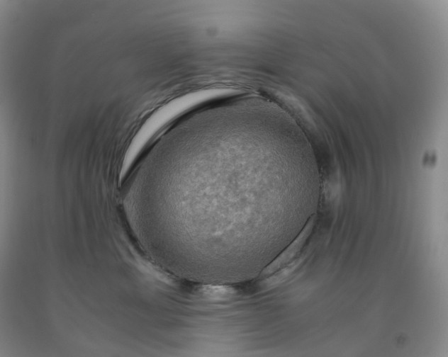 X0000092000429200709201513