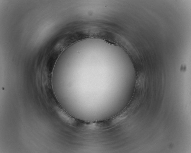 X0000092000430200709201513