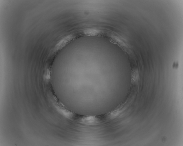 X0000092000431200709201513