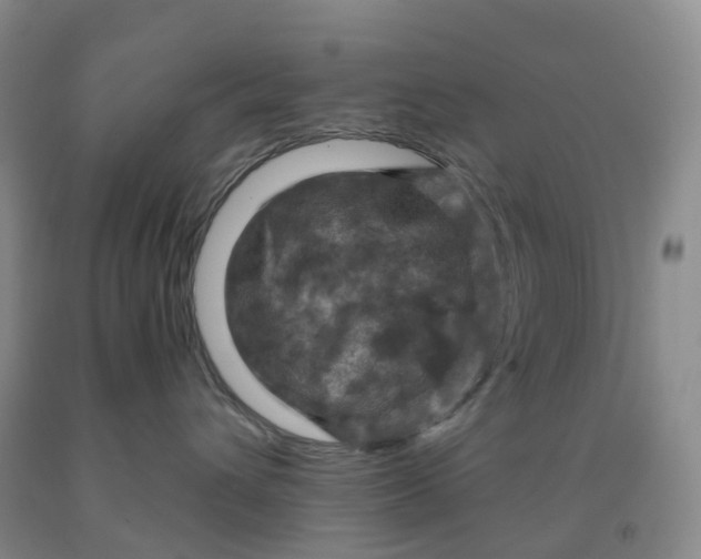 X0000092000432200709201513