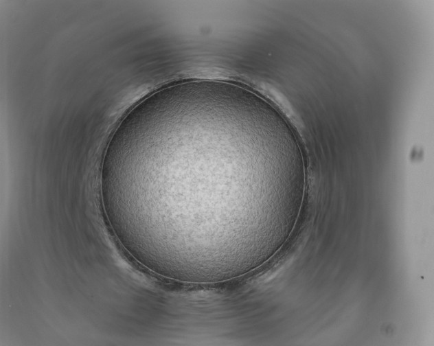 X0000092000433200709201512