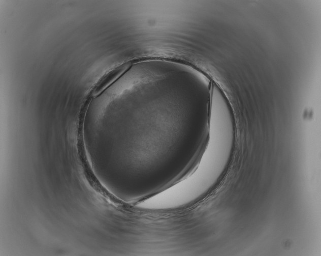 X0000092000434200709201512