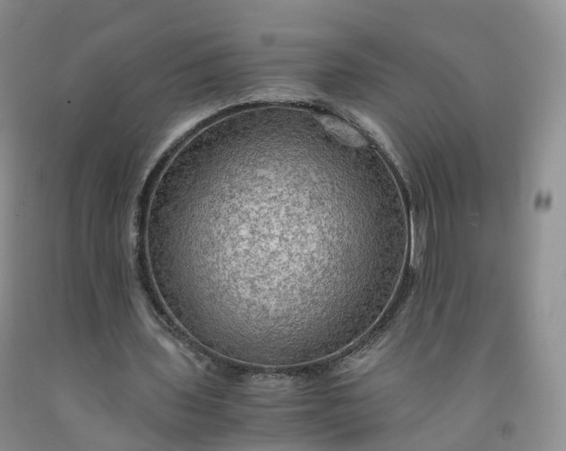 X0000092000435200709201512