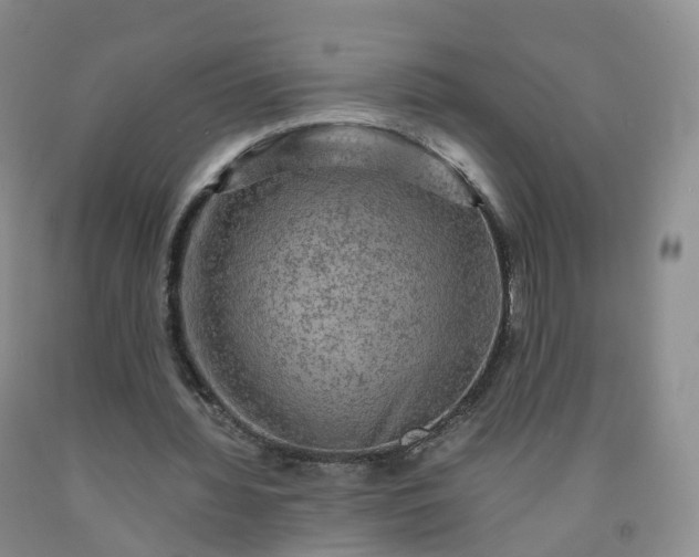 X0000092000436200709201512