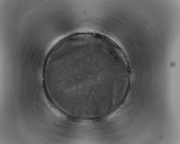 X0000092000438200709201512