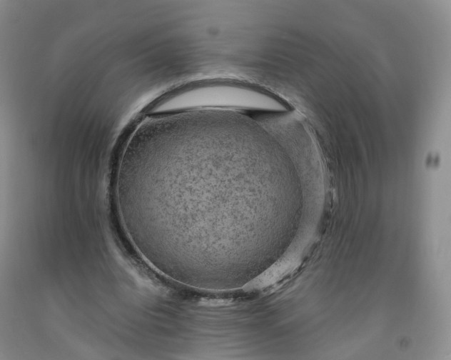 X0000092000440200709201512