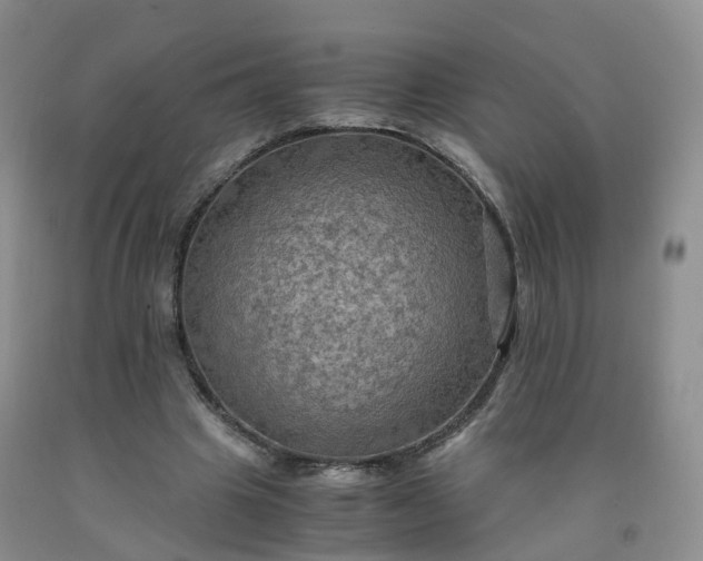 X0000092000441200709201512