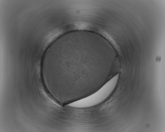 X0000092000442200709201512