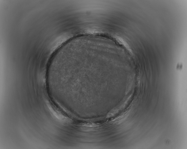 X0000092000443200709201512