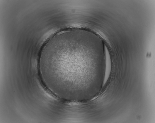 X0000092000444200709201512