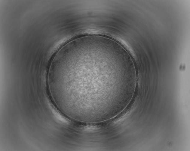 X0000092000445200709201512