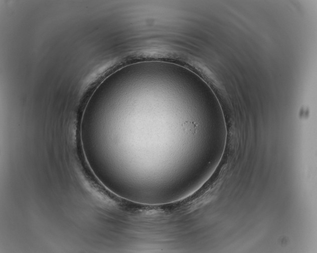 X0000092000446200709201512