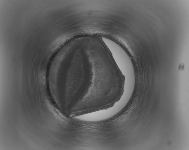 X0000092000447200709201512