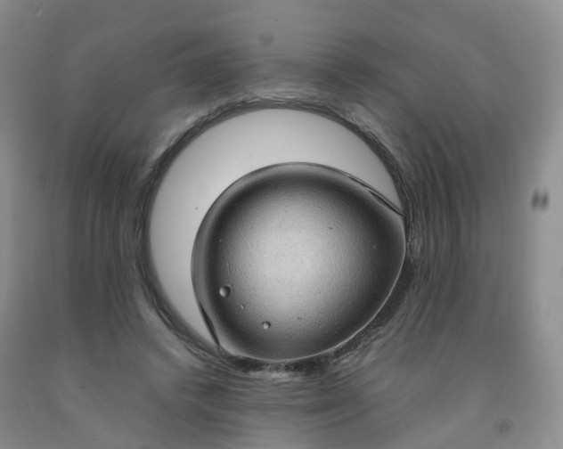 X0000092000448200709201512